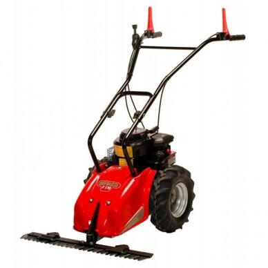 BENZININĖ ŠIENAPJOVĖ F170 B BENZININĖ ŠIENAPJOVĖ F170 B