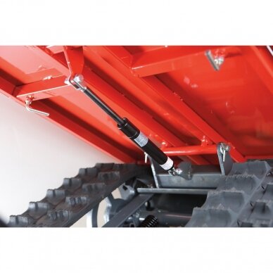 BLUE BIRD CARRIER 300 benzininis karutis 1