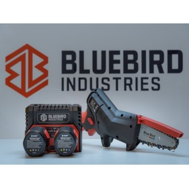 Blue Bird CS 22-04 akumuliatorinis pjūkliukas 1