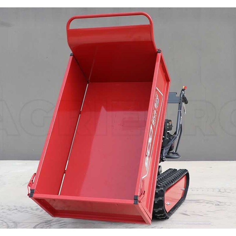 BLUE BIRD CARRIER 500 benzininis karutis 4 BLUE BIRD CARRIER 500 benzininis karutis 4