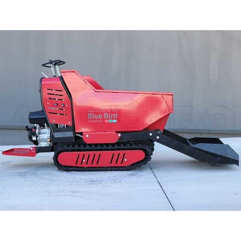 BLUE BIRD CARRIER 500 DLH benzininis karutis 1 BLUE BIRD CARRIER 500 DLH benzininis karutis 1