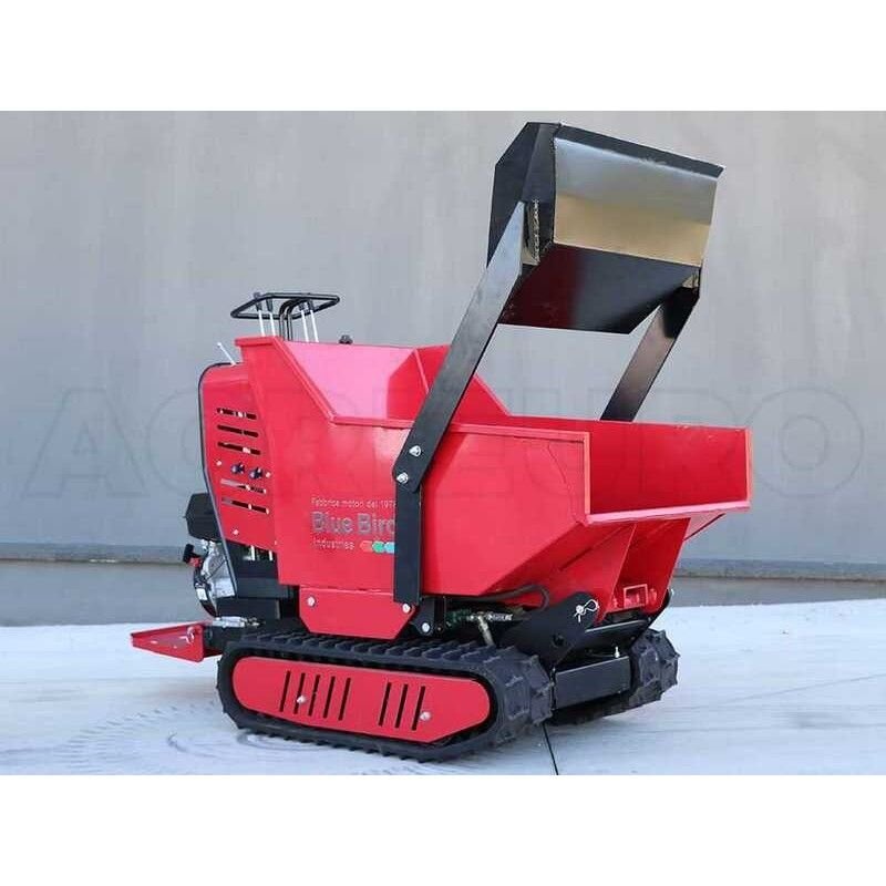 BLUE BIRD CARRIER 500 DLH benzininis karutis 2