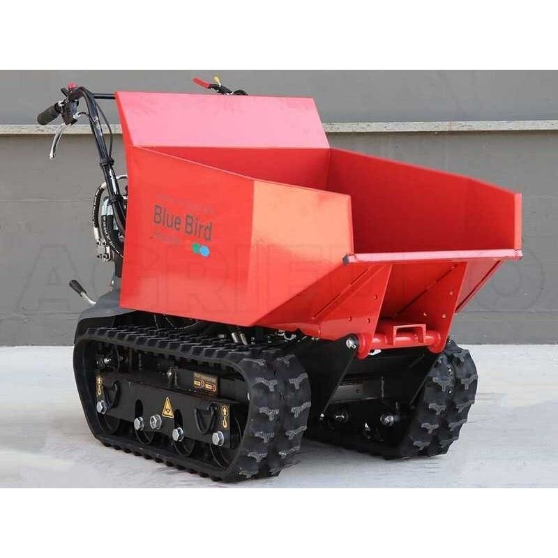 BLUE BIRD CARRIER 500 DSH benzininis karutis 1