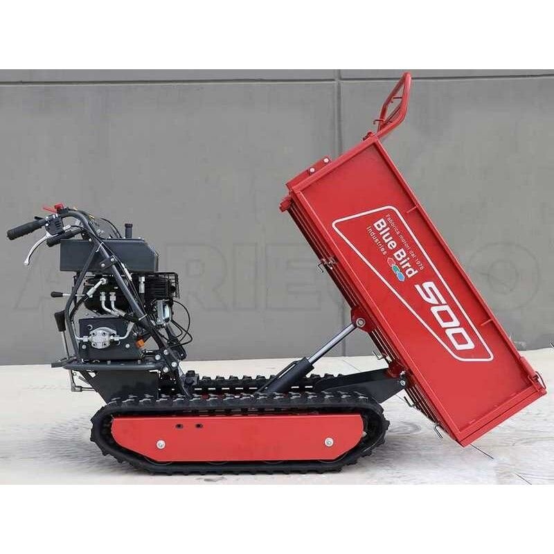 BLUE BIRD CARRIER 500 H benzininis karutis 3 BLUE BIRD CARRIER 500 H benzininis karutis 3