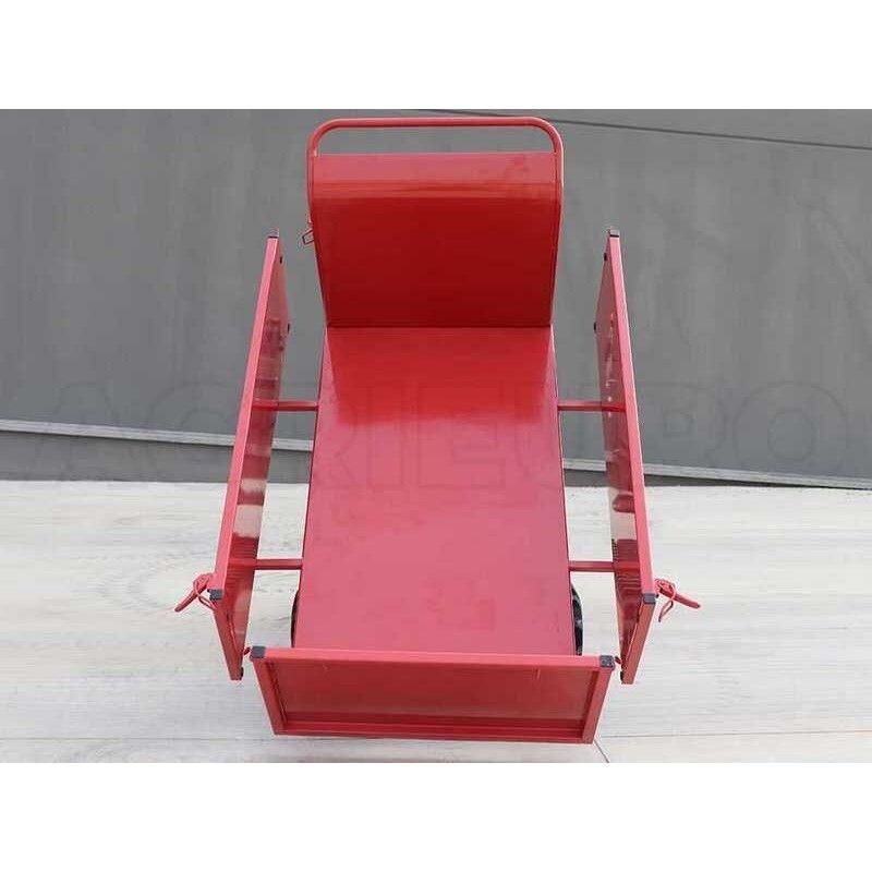 BLUE BIRD CARRIER 500 H benzininis karutis 5