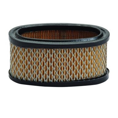 Oro filtras Briggs and Stratton 11 Ag varikliams (#393725)