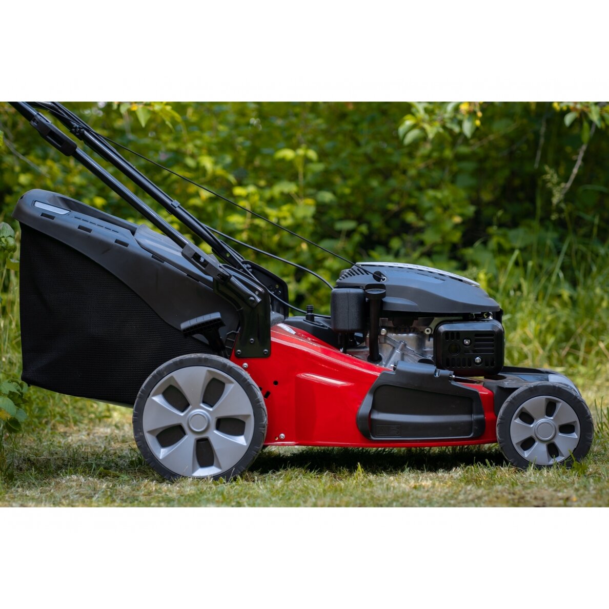 RASER MP1 554 WSQ benzininė vejapjovė 3